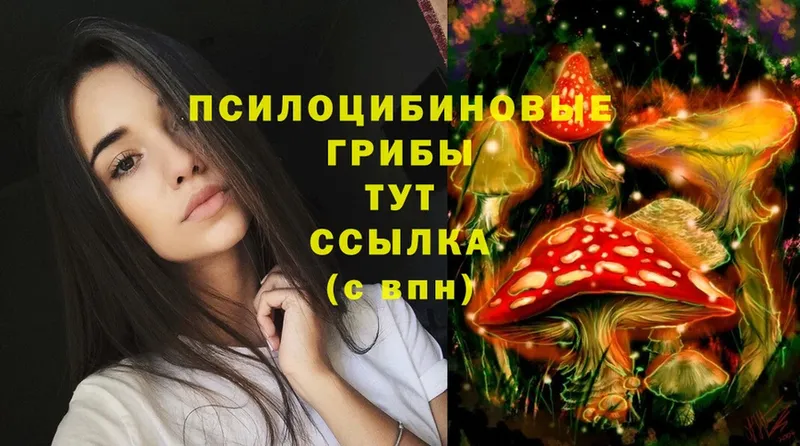 мега рабочий сайт  купить   Фролово  Галлюциногенные грибы Cubensis 